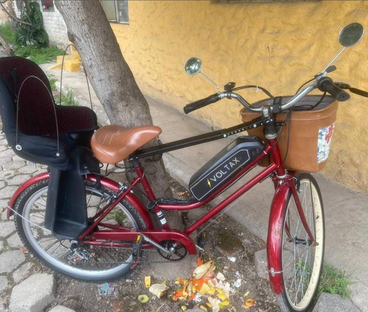 Graciela Arevalo