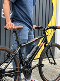 BICICLETA ELÉCTRICA- VOLTAX LITE